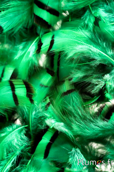 Perdrix - 3-7 cm - vert